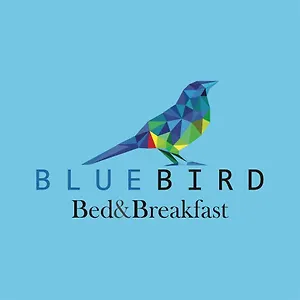 Blue Bird Cuenca